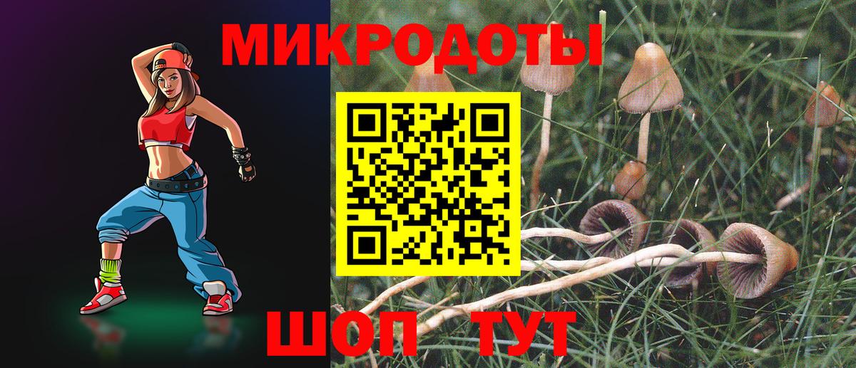 Псилоцибиновые грибы мицелий  Вход с VPN  Новочебоксарск 